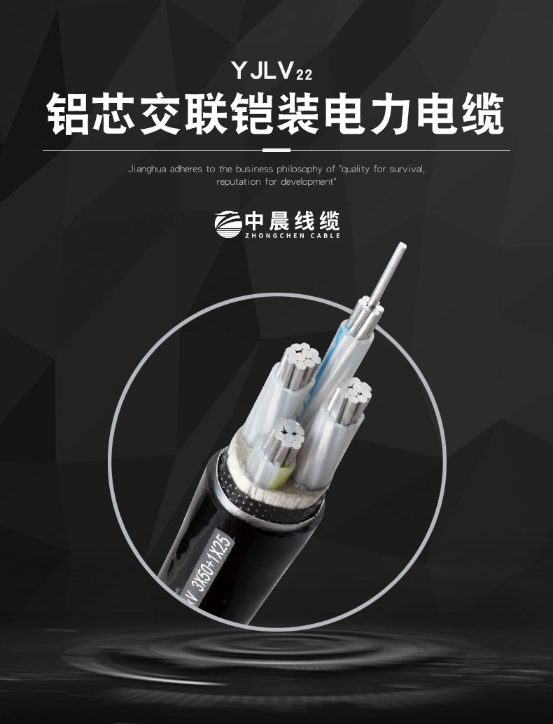 交聯(lián)電力電纜-YJLV22 - 中晨電纜