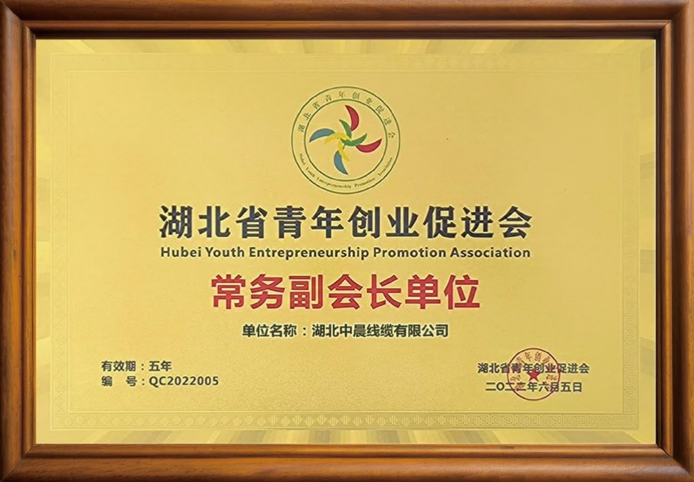 湖北中晨線纜有限公司湖北省青年創(chuàng)業(yè)促進會 常務副會長單位.png
